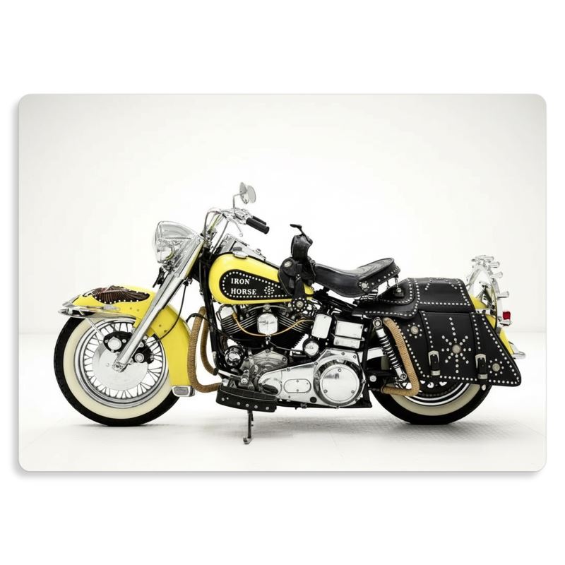 Metalltryck Motorcycle Ride Harley Davidsson